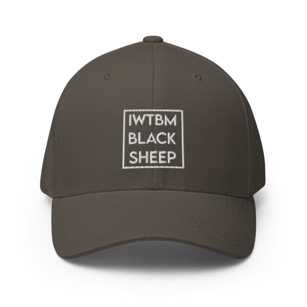 Gorra de sarga estructurada iwtbm - Imagen 8