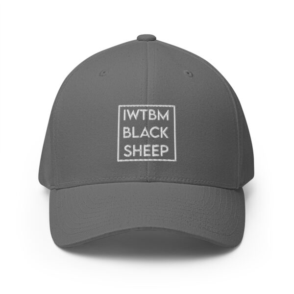 Gorra de sarga estructurada iwtbm - Imagen 19