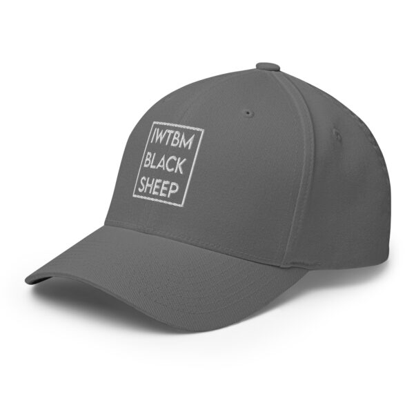 Gorra de sarga estructurada iwtbm - Imagen 22