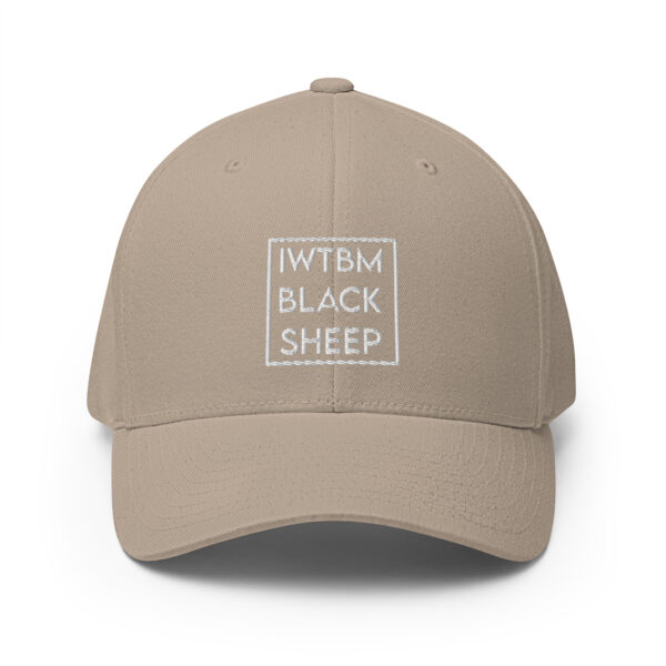Gorra de sarga estructurada iwtbm - Imagen 25