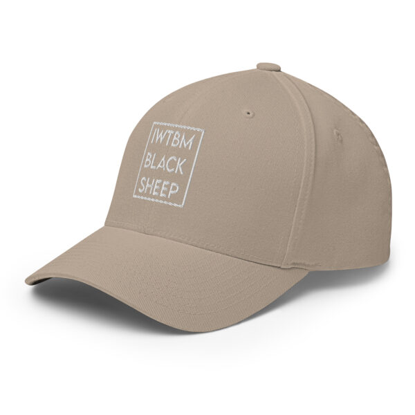 Gorra de sarga estructurada iwtbm - Imagen 28