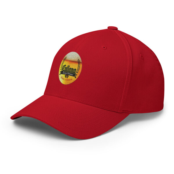 Gorra de sarga estructurada logo redondo - Imagen 28