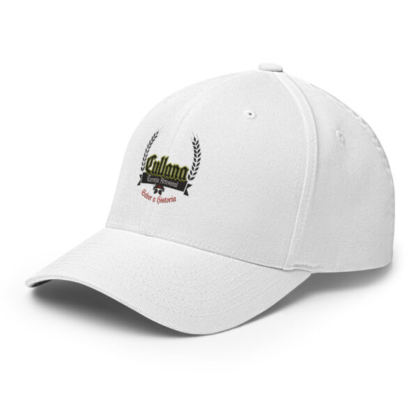 Gorra de sarga estructurada - Imagen 60