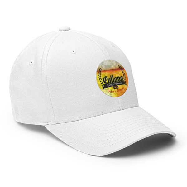 Gorra de sarga estructurada logo redondo - Imagen 66