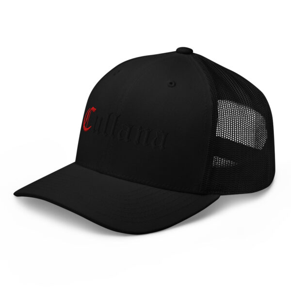 Gorra tipo trucker - Imagen 4